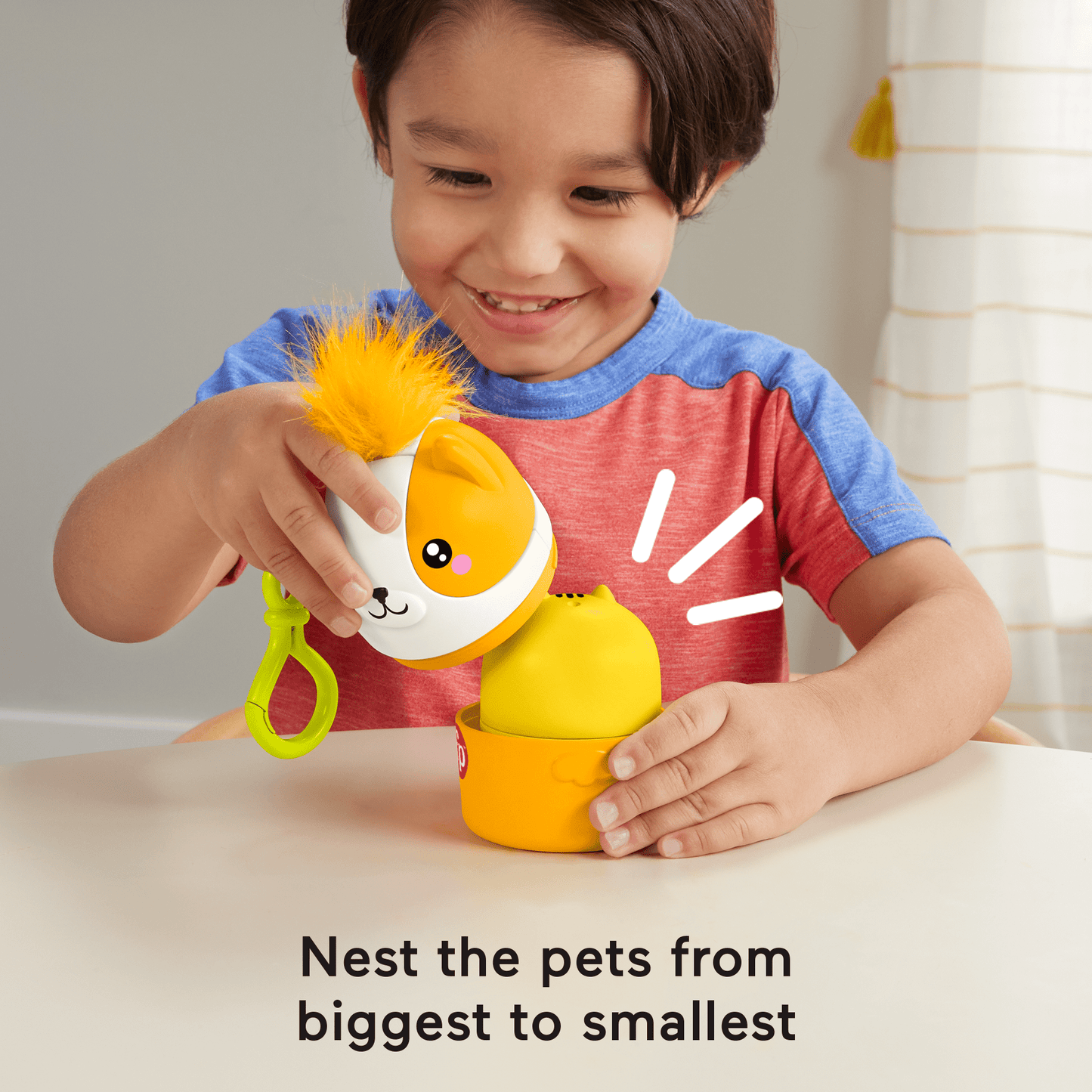 Fisher-Price FP Pets On-The-Go Nesting Pets Stacking Toy For Preschool Kids, 4 Pieces
