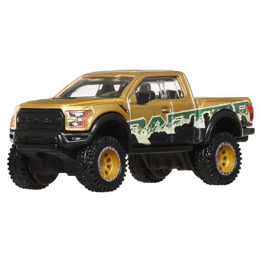 Hot Wheels Collector Veículo de Brinquedo 17 Ford F150 Raptor
