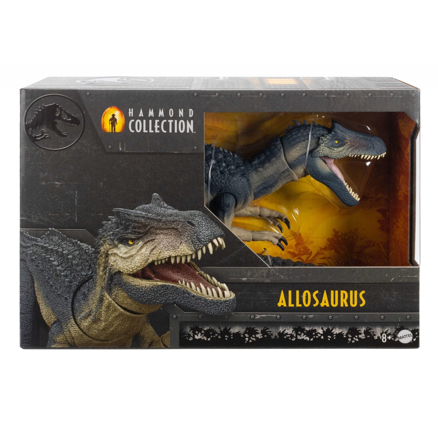 Jurassic World  Collection Hammond  Figurine Articulée  Allosaure