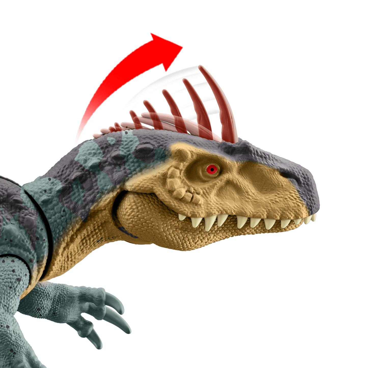 Jurassic World  Méga Action  Néovénator, Espèce de Grande Taille