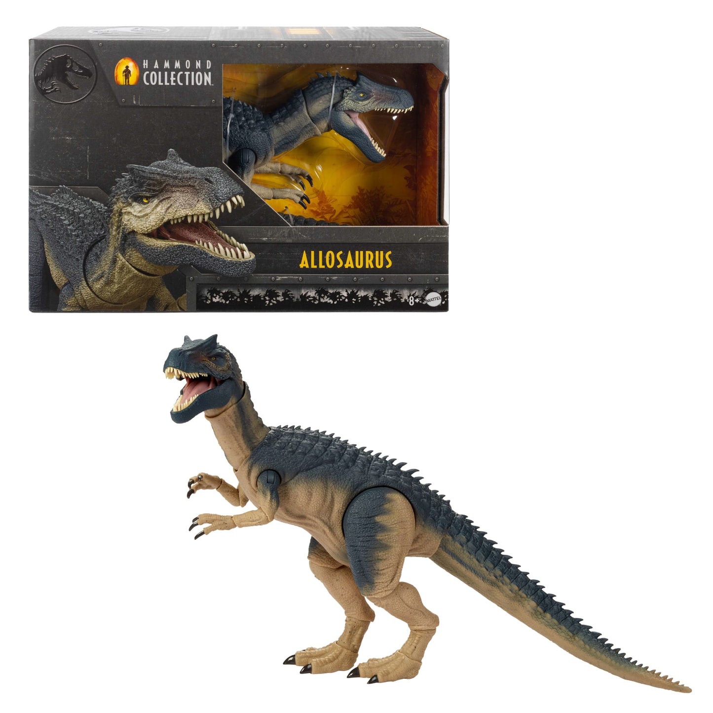 Jurassic World  Collection Hammond  Figurine Articulée  Allosaure